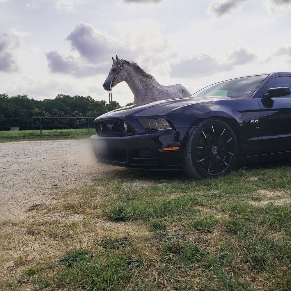 Meet your Posher, Gary